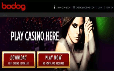 Bodog Casino Review