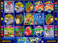 What a Hoot Slot Machine