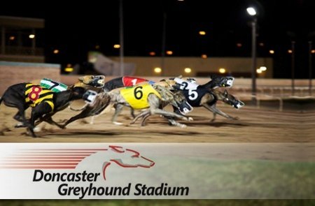 doncaster greyhound track greyhounds name